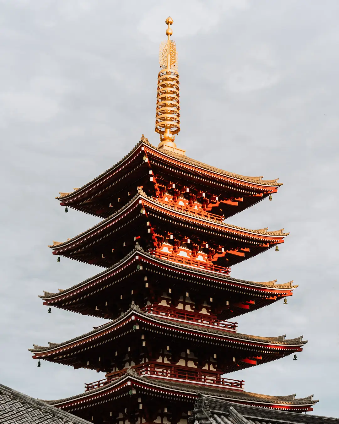 A 4:5 image for Instagram export in Lightroom