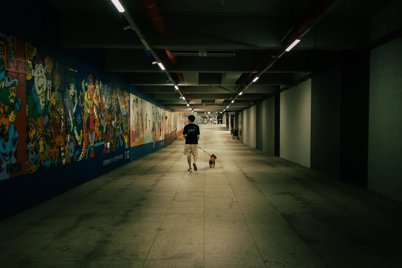 Ein Mann mit Hund in einer bemalten Unterführung, Seoul